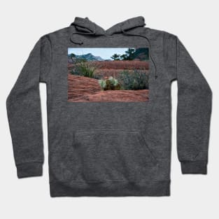 Sedona Cactus Hoodie